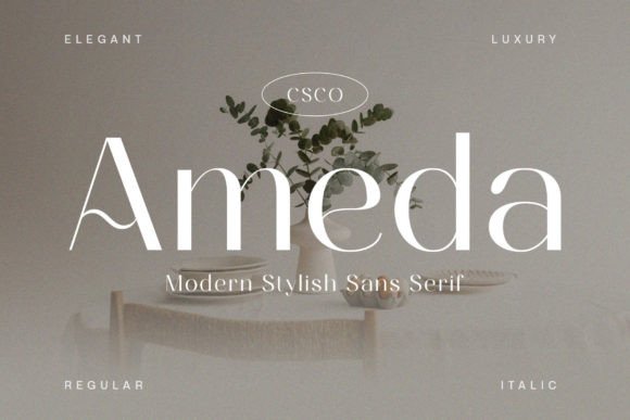 Ameda: A Font for Business Elegance
