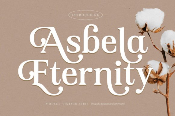 Asbela Eternity Font for Business