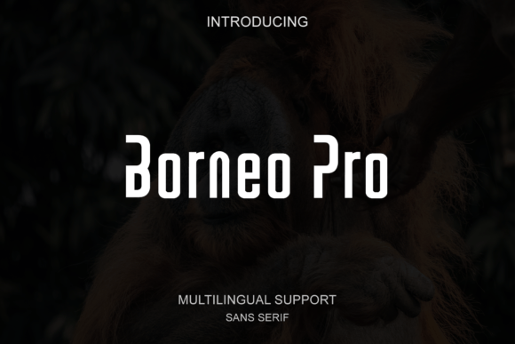 Borneo Pro: A Modern Font for Web Design