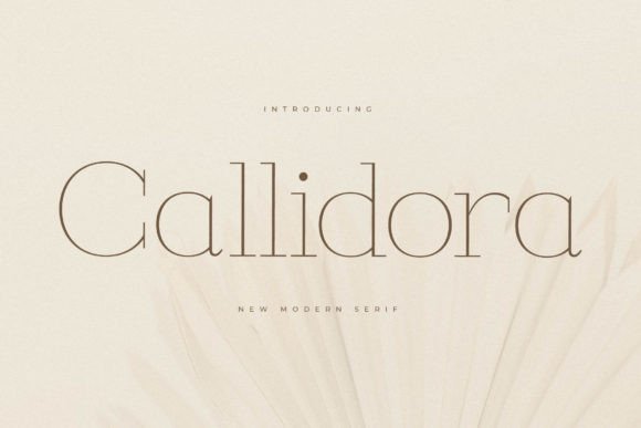 Callidora: A Serif Font for Elegant Web Design