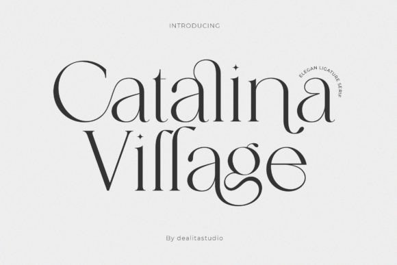 Catalina Village Font for Business
