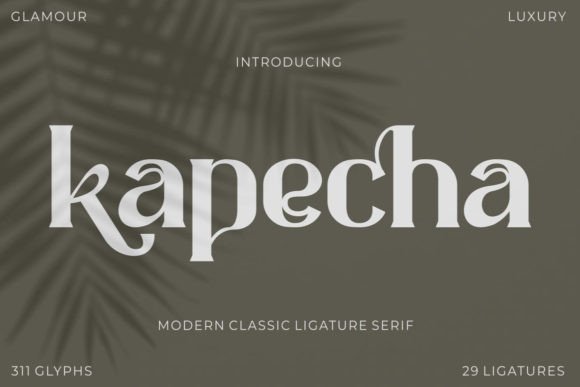 Kapecha: A Modern Serif Font for Web Design