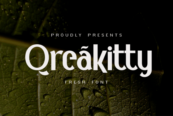 Qreakitty: Modern Sans Serif Font for Crafters