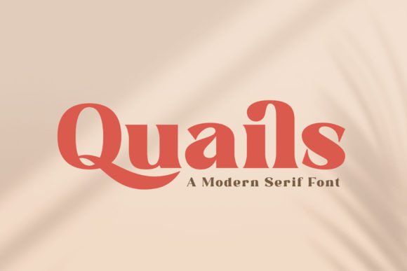 Quails Font: Bold & Professional