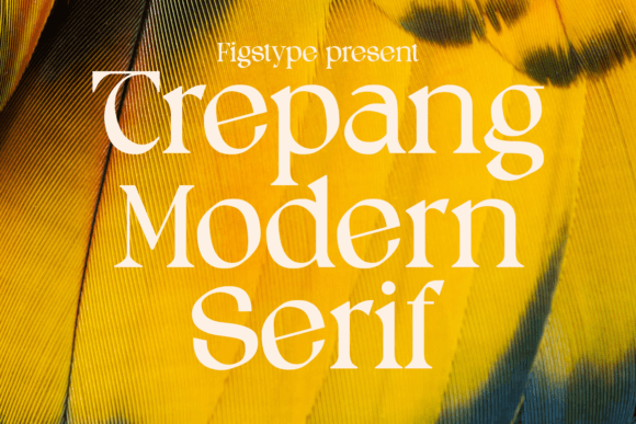 Upgrade Your Brand with Trepang